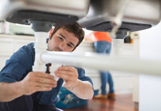 Best Plumbing Inspection Services  in Horn Lake, MS