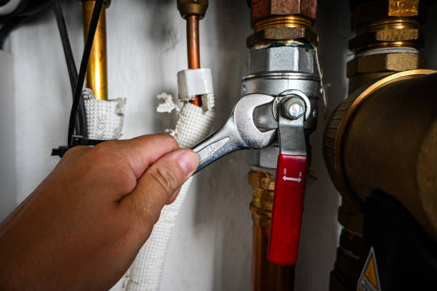 Best Plumbing Inspection Services  in Horn Lake, MS